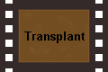 Transplant